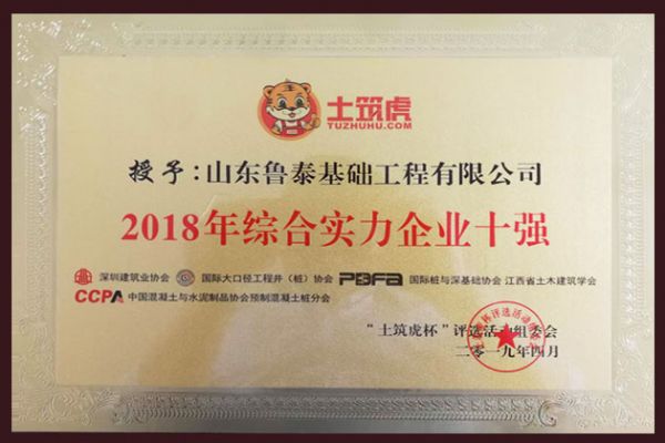 2018年度綜合實力企業(yè)十強(qiáng)